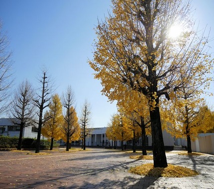 熊本県立大学