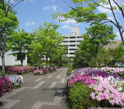 兵庫教育大学