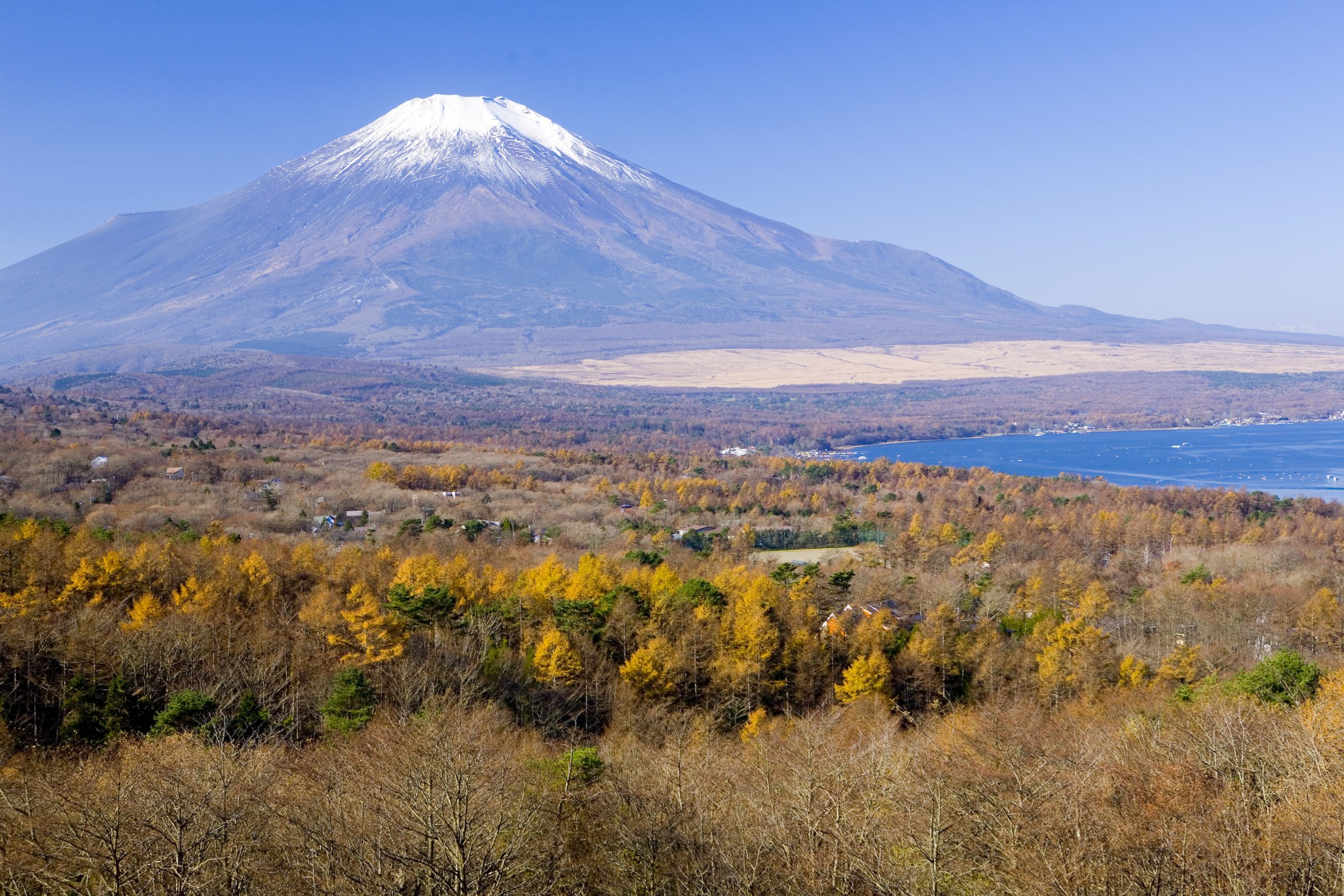 山梨県で家庭教師をお探しのご家庭へ お子さんの成績を短期間で上げます！