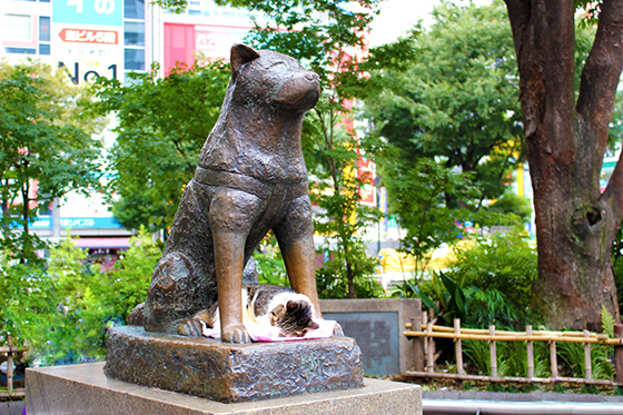 渋谷区で家庭教師をお探しのご家庭へ お子さんの成績を短期間で上げます！