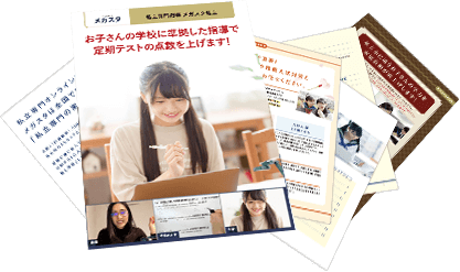 メガスタについて