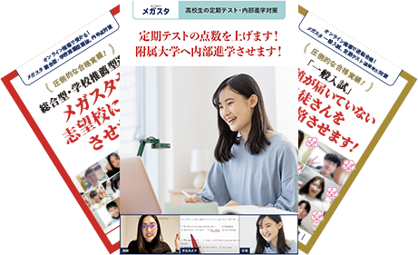 メガスタについて