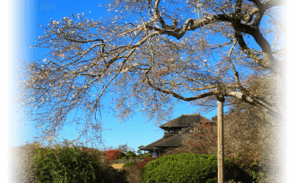 茨城県