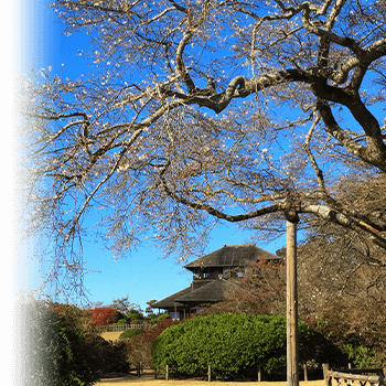 茨城県