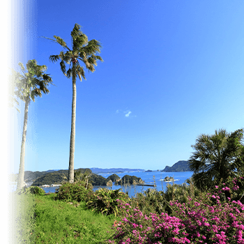 宮崎県