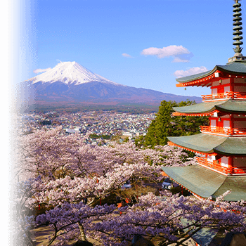 山梨県